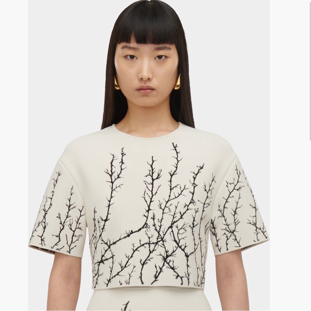 Alexander Mcqueen Thorn Branches Knitted Crop top Multi Print Small